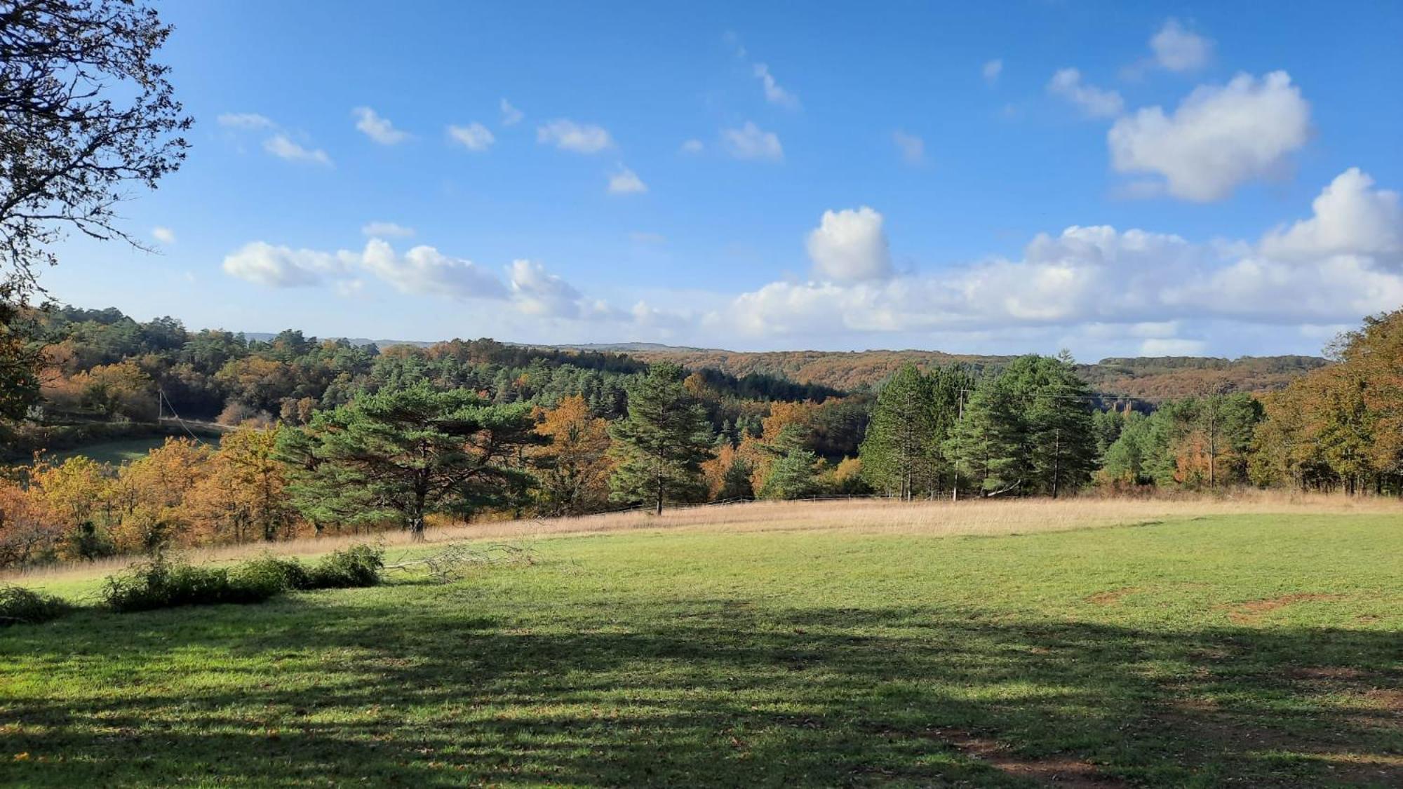 Gite Les Placettes Sainte-Foy-de-Longas 외부 사진
